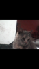 Прикрепленное изображение: Screenshot_2016-01-17-01-08-17.png