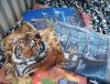 Прикрепленное изображение: DSC03896.JPG