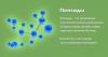 Прикрепленное изображение: 13-peptide.jpg