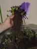Прикрепленное изображение: DSCN0499.JPG
