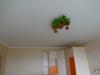 Прикрепленное изображение: DSC06126.JPG