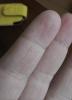 Прикрепленное изображение: image (1).jpg