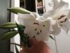 Прикрепленное изображение: 20160618_2357571.jpg