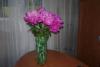 Прикрепленное изображение: P1010600.JPG