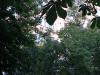 Прикрепленное изображение: 2014-07-22 18.42.01.jpg