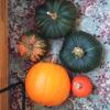 Прикрепленное изображение: 20151003_1651401.jpg