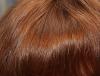 Прикрепленное изображение: hair2.jpg