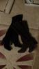  : DSC02716.JPG