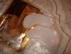 Прикрепленное изображение: DSC00566.jpg