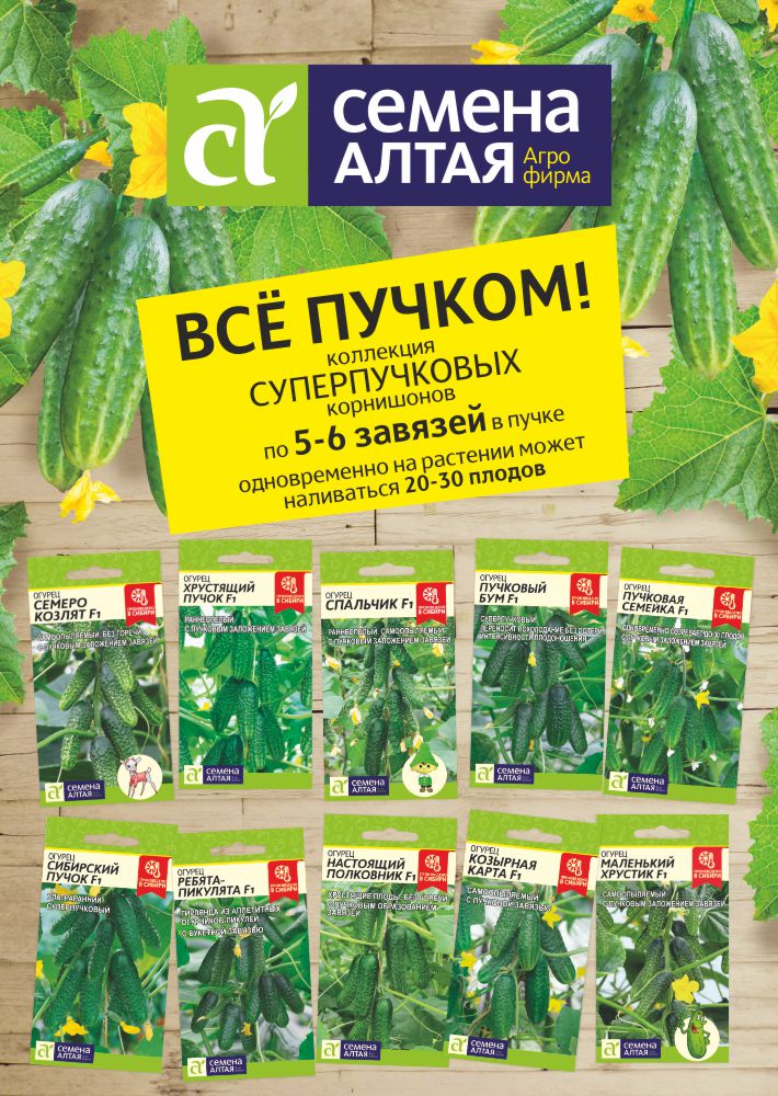 Агрофирмы Цветов Интернет Магазин