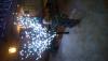 Прикрепленное изображение: DSC_01271.JPG