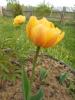 Прикрепленное изображение: DSCN0420.JPG