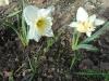 Прикрепленное изображение: DSCN0402.JPG