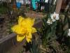 Прикрепленное изображение: 20160513_1434171.jpg