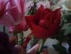 Прикрепленное изображение: 20160516_1748001.jpg