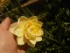 Прикрепленное изображение: 20160513_1145231.jpg