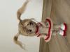 Прикрепленное изображение: IMG_9402.jpeg