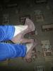 Прикрепленное изображение: 20130717_160006.jpg