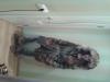 Прикрепленное изображение: 20131004_151743.jpg