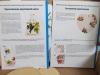 Прикрепленное изображение: IMG_8055.JPG