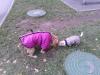 Прикрепленное изображение: 20151105_141405.jpg