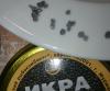 Прикрепленное изображение: DSC_0809.JPG
