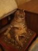 Прикрепленное изображение: DSC00423.jpg