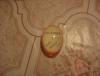 Прикрепленное изображение: DSC00401.jpg