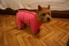 Прикрепленное изображение: DSC02476.JPG