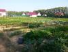 Прикрепленное изображение: 20150727_165821.jpg