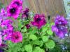 Прикрепленное изображение: DSCN4969.JPG