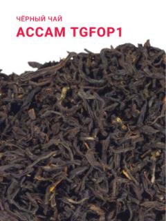 акция апреля!