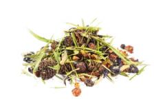 акция апреля!