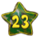 Звезда 23