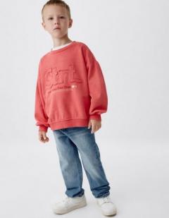 брусничный(271)