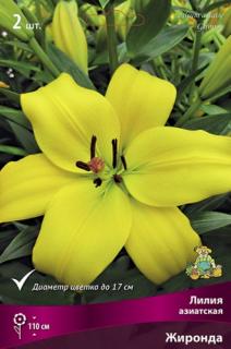 жиронда 2 шт