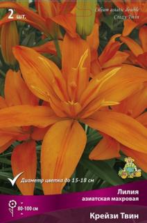 Крейзи Твин 2 шт