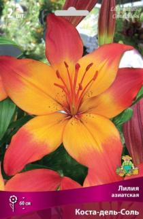 Коста-дель-Соль  2 шт