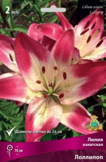 лоллипоп 2 шт