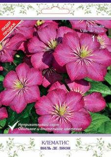 виль де леон