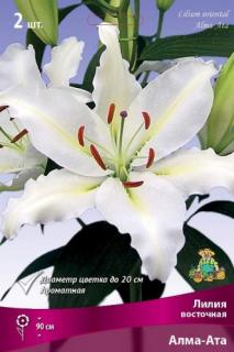 Алама-Ата  2 шт