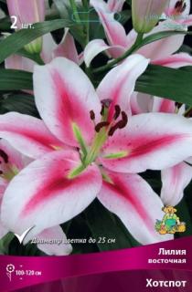 Хотспот  2 шт