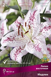 Мадлен  2 шт