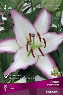 Хотлайн   2 шт