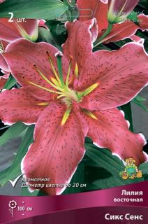 Сикс Сенс' 2 шт