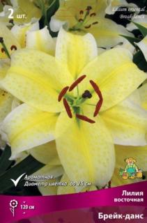 Брейк-данс 2 шт