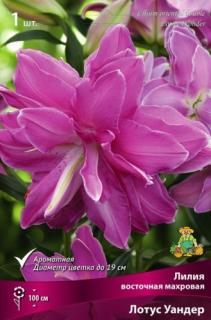 лотус уандер 1 шт