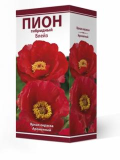 Пион Блейз. 