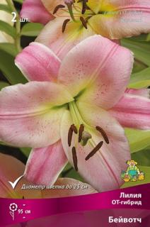 Бейвотч 2 шт