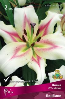 Бонбини 2 шт